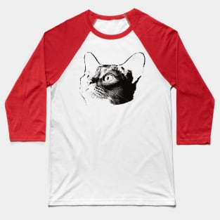 Abyssinian gift for Abyssinian Owners Baseball T-Shirt